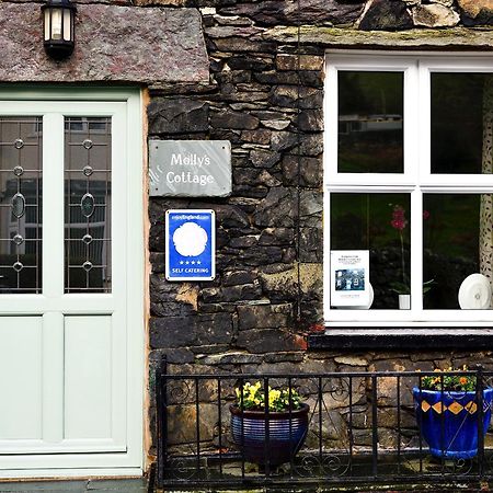 Mollys Cottage グレンリディング エクステリア 写真